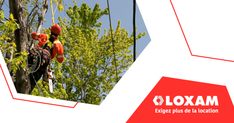 Arbres et espaces verts par temps “vent et pluie” - Bonnes pratiques de maintenance